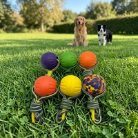 LY Factory Wholesale Eco-Friendly Fashion Classic Cute Training Dog Chew Toy Interactive EVA Floating Foam Ball Bite Pull Ring