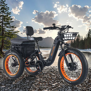 2025 di alta qualità 48V 500W pieghevole 24 pollici grasso pneumatico 3 ruote <span class=keywords><strong>bici</strong></span> con cestello tricicli elettrici per il trasporto utilizzando - Product Image 2