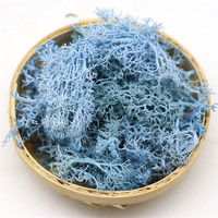 Vente en gros de micro-paysage de fleur éternelle de mousse verte sèche préservée naturelle pour la décoration de jardin pour la fête des mères