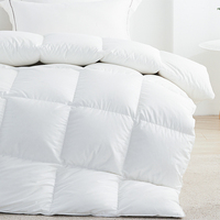 Couette de luxe 100% coton 200TC imperméable chauffée pour hôtel King avec alternative en duvet de polyester pour la maison et les hôtels toutes saisons