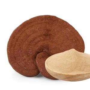 <span class=keywords><strong>Reishi</strong></span> Paddestoel Extract Polysacchariden 30% Organic Voedingssupplementen - Product Image 6