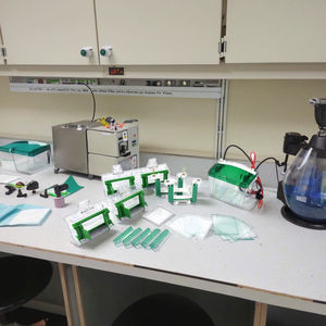 CHINCAN DYCZ-MINI4 미니 SDS 페이지 수직 단백질 전기영동 젤 전기영동 탱크는 1-4 미니 폴리아크릴아미드 젤을 사용합니다 - Product Image 3