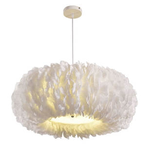 Trendy Nordic Style Feather Pendant <b>Light</b> for Girls Bedroom Dressing Room & Study for Home Use - Product Image 1