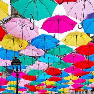 LS09 ombrelli pendenti colorati con Logo personalizzato pittura artistica Street Decorative Patio ombrello controllo manuale antivento adulti - Product Image 6