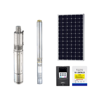 Pompe submersible solaire en acier inoxydable avec moteur CC sans balais, économe en énergie, longue durée de vie, pour système d'alimentation en eau