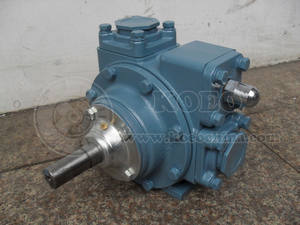 ريشة دوارة انزلاقية من سلسلة <span class=keywords><strong>Blackmer</strong></span> YB ذاتية التحضير ديزل 2 "-4" لنقل الوقود الصناعي - Product Image 6