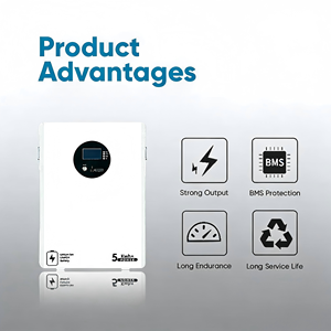 Système de stockage d'énergie hybride au lithium de 5 kWh pour la sauvegarde en cas de panne de courant, prend en charge la charge solaire avec protection IP54 - Product Image 1