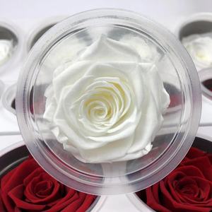 Commercio all'ingrosso 6-7 centimetri fiore conservato secchi rose naturale stabilizzato <span class=keywords><strong>rosa</strong></span> - Product Image 2
