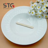 Bâtonnets de crème glacée jetables en bois de bouleau naturel de 93 mm (3,6 pouces), durables et biologiques, pour les magasins de gelato, conformes aux normes alimentaires FDA