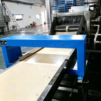 Système de détection automatique de métaux pour convoyeur à charbon IP54 – Détection de minerai et purification des matériaux