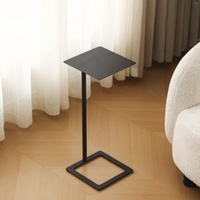 Table basse mini en fer de luxe léger, table d'appoint de canapé moderne et simple, table à thé noire et blanche pour salon