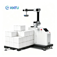 Robot Arm Cobot Pintar Kolaboratif 30kg untuk Penumpukan Otomatis Kantong dan Kotak dengan Repetibilitas Tinggi untuk Lini Pengemasan Makanan