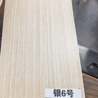 Peau de porte décorative en panneau MDF lisse pour porte intérieure, appartement, hôtel, chambre