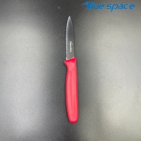 Couteau à steak, à fruits, à tomates, à pain, à lame dentelée, manche en polypropylène coloré, pour la maison