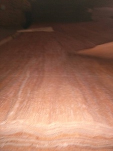 Chất Lượng Tốt Nhất 4x8ft Recon <span class=keywords><strong>Keruing</strong></span> Gỗ Veneer/Tếch Veneer Ván Ép Mặt - Product Image 6