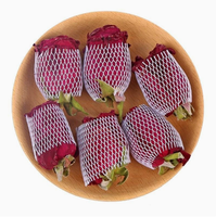 Bourgeons de roses rouges séchés naturels, bourgeons de fleurs de rose comestibles en vrac pour tisanes, vente en gros, OEM, marque privée
