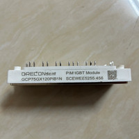 Module de puissance IGBT GCP75GX120PIB2N GCP75GX120PIB1N GCP50GX120PIB1N GCP50GX120PIB2N