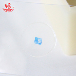 Motor neuron slide specimens, typical comprehensive categories, <b>microscope</b> slides, student gifts, <b>microscope</b> slides - Product Image 1