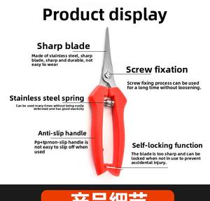 Sécateur agricole à double lame Similar Icon <span class=keywords><strong>DG</strong></span> en acier inoxydable forgé, 0,3 kg, pour pommiers, poiriers et autres arbres fruitiers - Product Image 5