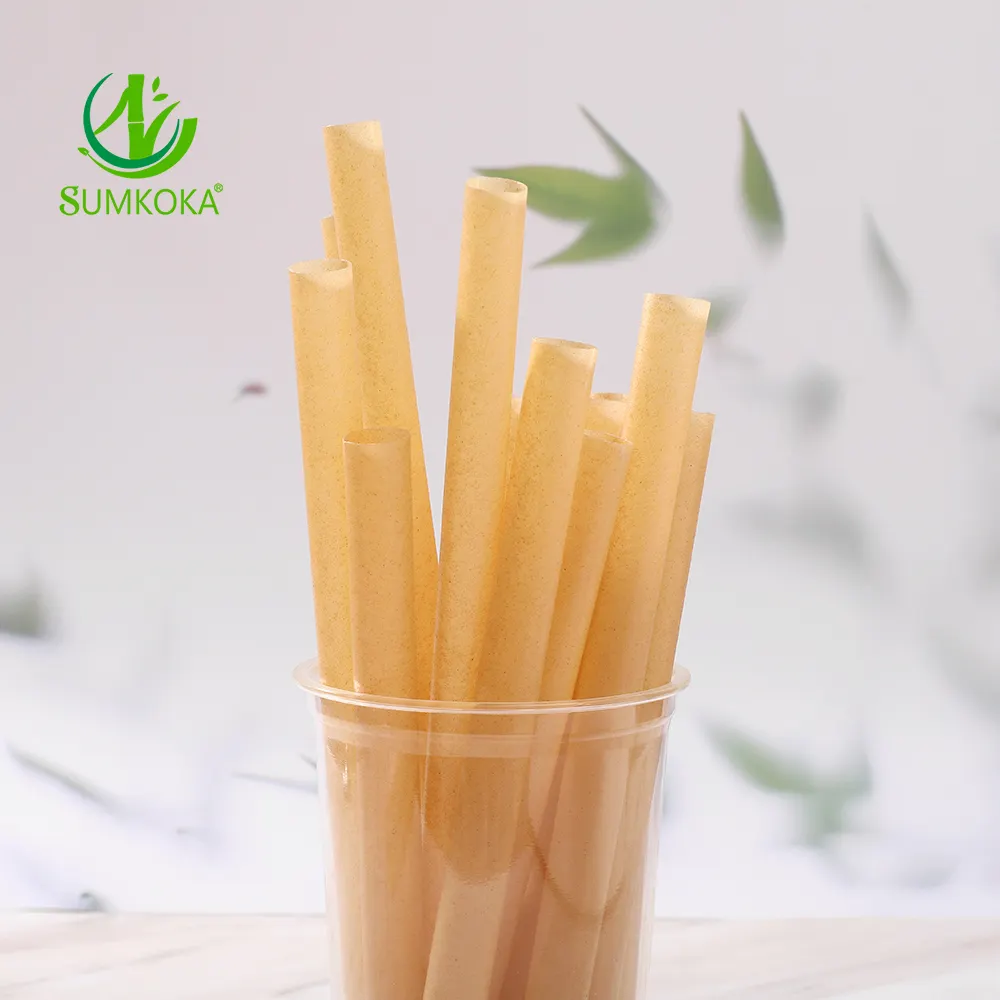 SUMKOKA 100% Pailles à cocktail biodégradables Nouvelles pailles biodégradables pour la canne à sucre Pailles écologiques pour le thé babo