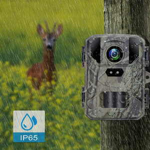 Mini caméra de chasse 50MP 4K IP65 étanche avec vision nocturne pour la chasse en plein air - Product Image 1