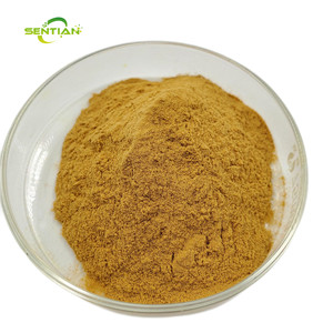 Natural Silvervine Matatabi de alta pureza 100% Silvervine en polvo - Product Image 6