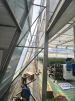 Serre en acier galvanisé à plusieurs travées avec film plastique PE pour la culture de tomates, concombres, poivrons et légumes