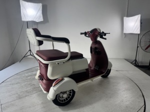 2025 Hot-Selling LOBO <strong>EV</strong> Electric Trike <strong>3</strong> <strong>Wheel</strong> with 800W Motor 7-9h Charge Time Open Body <strong>3</strong>-Passenger 30Km/h for Long Rides - Product Image 5