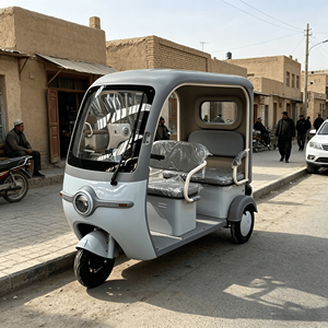 <span class=keywords><strong>Tricycle</strong></span> <span class=keywords><strong>électrique</strong></span> de loisirs pour adultes, <span class=keywords><strong>tout</strong></span>-<span class=keywords><strong>terrain</strong></span>, pneus antidérapants, cabine fermée, sièges confortables, pour extérieur et fermes - Product Image 1