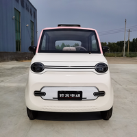 Petite Voiture Électrique Mini-Véhicule Électrique 1000W Sans Permis de Conduire, Haute Qualité et Économique 2025 pour Adulte Fabriqué en Chine