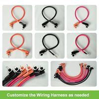 Harnais de câblage en cuivre personnalisé, connecteur de stockage de batterie à broche unique étanche IP67 en ABS haute tension pour système d'énergie solaire