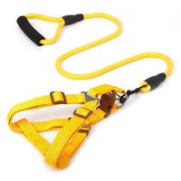 Laisse pour chien en nylon simple, durable et confortable de 120 cm, personnalisable en gros, pour la promenade des petits chiens