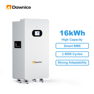 Paquete de Baterías de 15KWh, 51.2V, 15kw, Litio Lifepo4, 300Ah, 314Ah, 16KWh, LFP, 48V, Baterías de Almacenamiento de Energía para Sistemas Solares Domésticos, Puerto CAN - Product Image 1