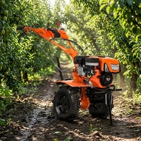 BISON (CHINE) Fabricant direct de motoculteurs multifonctionnels à essence de 6,5 ch/7 ch pour l'agriculture, certifiés CE