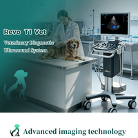 Échographe Doppler Couleur Vétérinaire Periodmed pour le dépistage cardiaque et des tissus mous chez le chien et le chat – Diagnostic pour cliniques vétérinaires