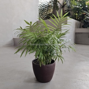 กระถางต้นไม้คอนกรีตดีไซน์ทันสมัยคุณภาพสูง สำหรับตกแต่งบ้าน สวนกลางแจ้ง ห้างสรรพสินค้า และพื้นที่เพาะชำ สำหรับจัดแสดงดอกไม้และต้นไม้ - Product Image 5