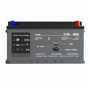 แบตเตอรี่ลิเธียมไอออน Lifepo4 Lithtech 12v 12.8v 12.8 โวลต์ 12 โวลต์ 24v 25.6v 80ah 100ah 120ah 150ah 200ah 300ah - Product Image 1