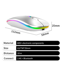 Souris RVB sans fil de couleur noire double modèle de souris rechargeable en plastique ultra mince de taille mini pour le bureau