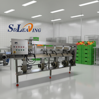 Commerciële fruitdroogmachine, salade- en groentedroogmachine