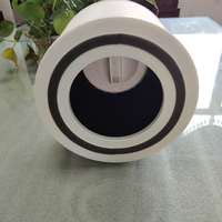 Filter Karbon Aktif HEPA untuk Pembersih Udara LEVOIT Core 300 Core300-P 300S Core300S-P 300-RF P350-P P350 P350-RF PuroAir 240