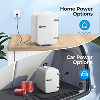 Mini Frigo Portable 4L pour Soins de la Peau, de Qualité et Abordable, Idéal pour Chambre ou Hôtel