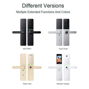 Liliwiise Tuya Ttlock Smart Digital Fingerprint <b>Lock</b> Biometric Rfid Card Wifi App Door H91 Smart Door <b>Lock</b> H91 - Product Image 5