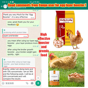 Suplemento para Promover la Producción de Huevos en Gallinas, Patos y Gansos - Product Image 4