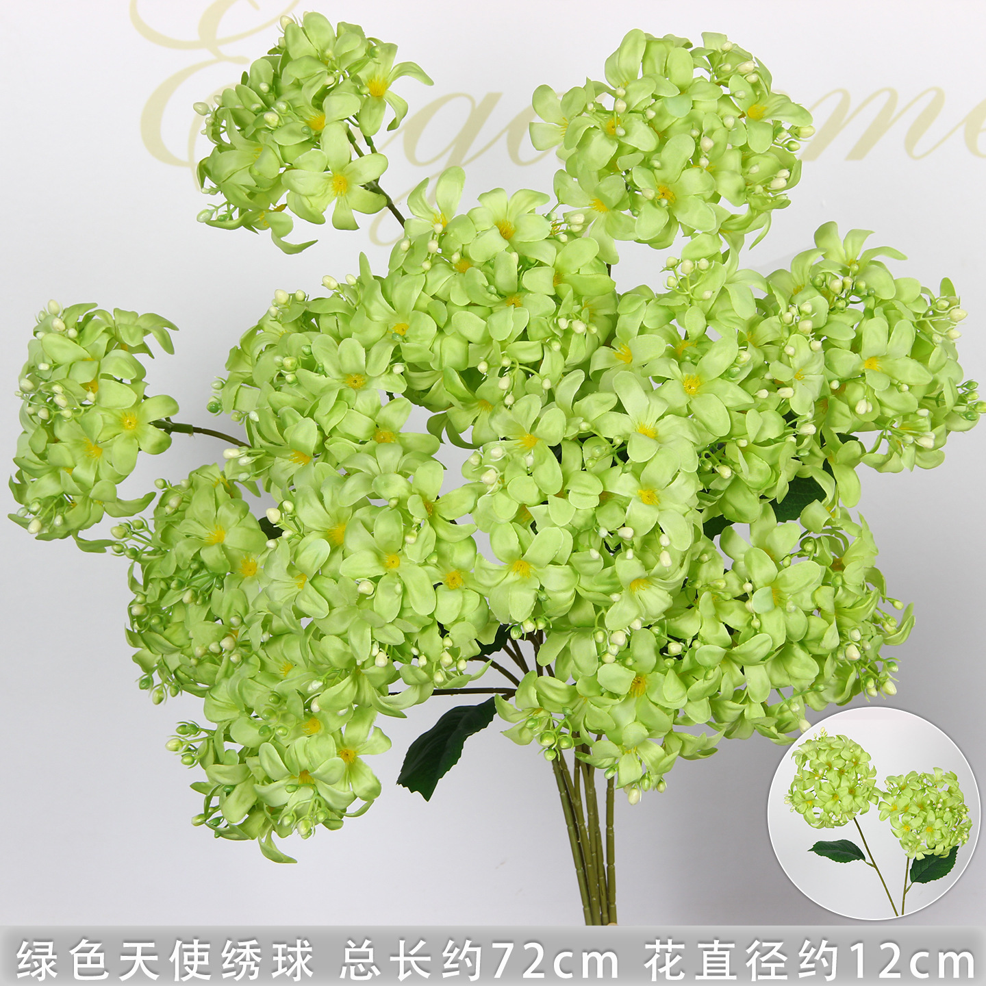 Hortensia ange vert à deux têtes
