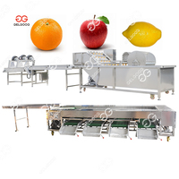 Industriële Fruit Ultrasone Wasmachine Passie Fruit Wassen En Verpakkingslijn Kersen Bosbessen Wassen Sorteermachine