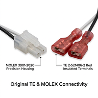 Kustom 1007 # 20 Kabel Harness dengan Housing MOLEX 3901-2020 dan Terminal TE 2-521406-2 untuk Sistem Kontrol Industri