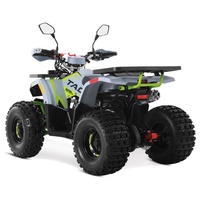 Quadricycle Tao Motor 2024 tout-terrain, économique, à essence, automatique, moteur 4 temps 110cc 125cc, ATV pour enfants