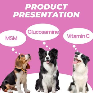 कुत्तों के लिए अनुकूलन योग्य चबाने योग्य मल्टीविटामिन की खुराक-प्रतिरक्षा समर्थन उच्च-प्रोटीन प्राकृतिक मसाले टर्की टुना स्वाद - Product Image 4