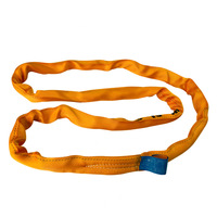 Sangle de levage en polyester résistante à l'usure, sangle en boucle sans fin avec housse pour la construction, le transport de marchandises et les levages lourds