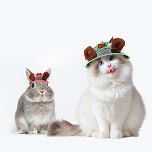 <span class=keywords><strong>2025</strong></span> nuevos accesorios de ropa para mascotas al aire libre, sombrero fresco para el sol para perros, gatos, conejos, cerdos holandeses, sombrero protector solar